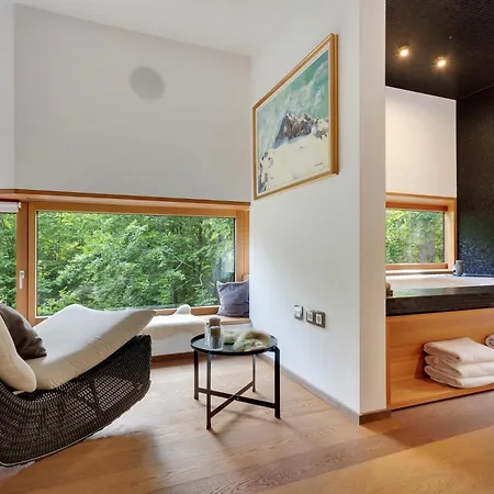 Jasna Mansion Vila *